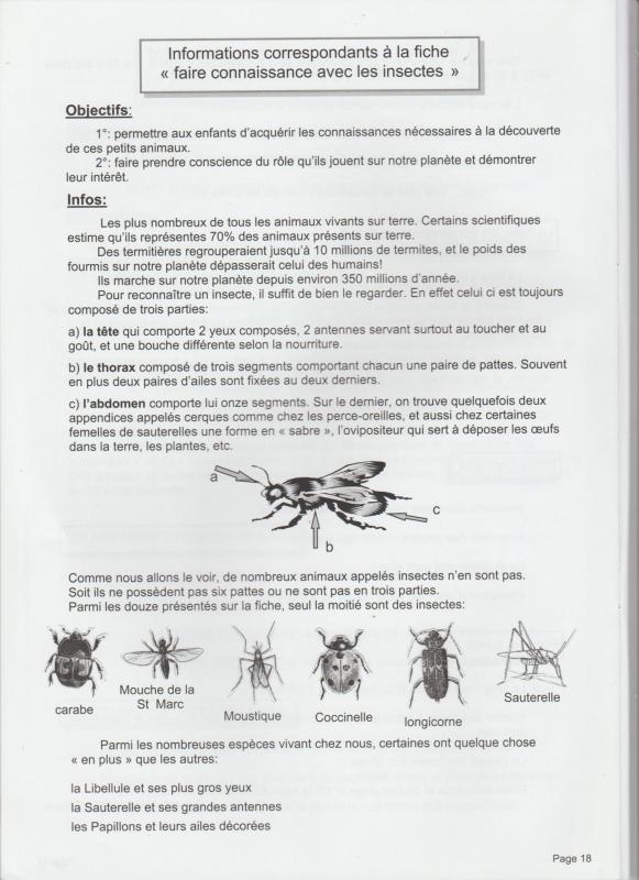 Aide insecte 1 001