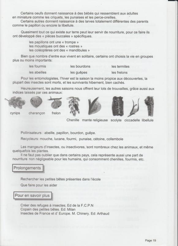 Aide insectes 2 001