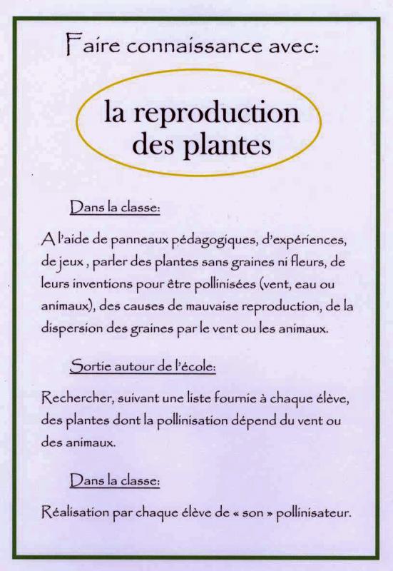 Plantes 001