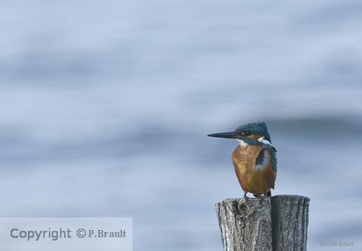 20160101154020 a9ef647a cu e520x360